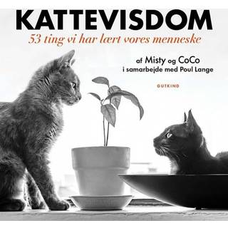 Kattevisdom