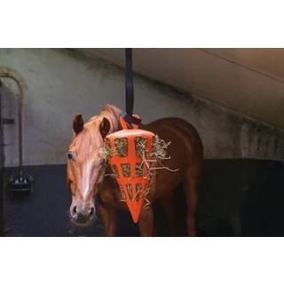Aktivitetslegetøj - Orange gulerod