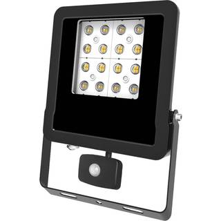 EVN Panthera udendørs spot sensor IP44 30W 4.000K
