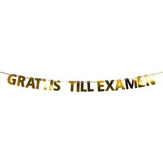 Guirlande Grattis till examen, 3,6 m.