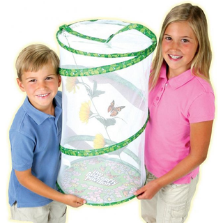 Sommerfuglehave m. 10 larver