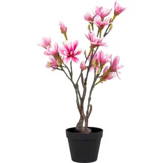 Magnoliatræ kunstig plante, rosa, 75 cm