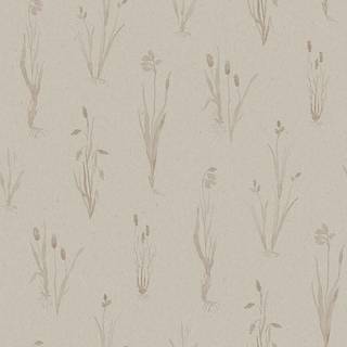 Moorland - 4711
