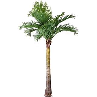 Mr Plant, Palme 370 cm