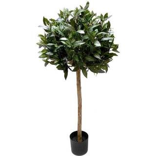 Mr Plant, Lagerbladstræ 150 cm