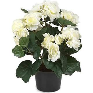 Begonia Hvid Kunstig - 28 cm