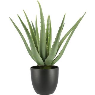 Aloe Vera Potteplante Kunstig - 35 cm