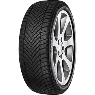 Minerva All Season Master BSW 3PMSF 225/65R17 102V