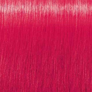 INDOLA Professionel hårfarve Crea-Bold Semi-permanent hårfarve Ægte pink 100 ml (490,00 kr / 1 l) - 100 ml