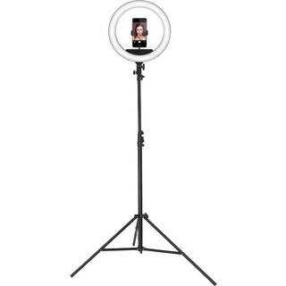 MAP by Gillian Jones Medium Ring Light With Remote Shutter (1 sæt)