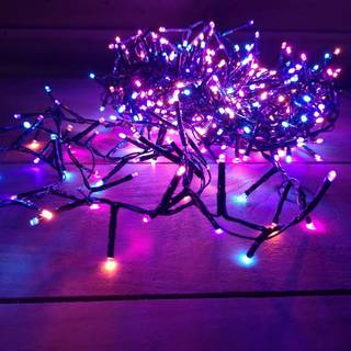 500 LED-lys (12,5 m) Premier TreeBrights Juletræsbelysning - timer i regnbuefarver