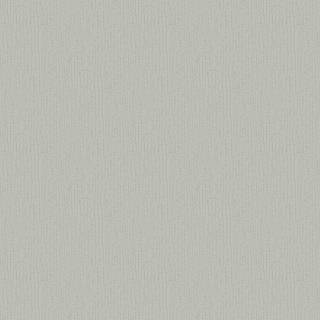 Albany Wallpaper Ornella Bark Texture 35273
