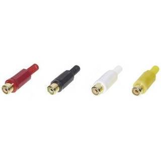 TRU COMPONENTS 1601053 Cinch-stik Kobling, lige Poltal:
