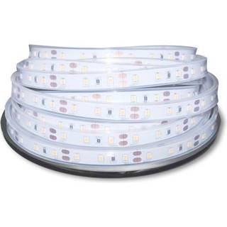 Lit led strip 12v 4,8w 2700k ip67 cri90+