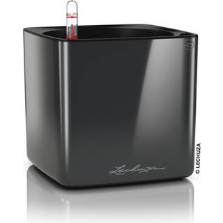 Lechuza Cube Glossy 16 indendørs krukke til blomster med selvvandingssystem Charcoal Højglans