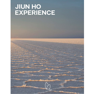 Jiun Ho: Experience