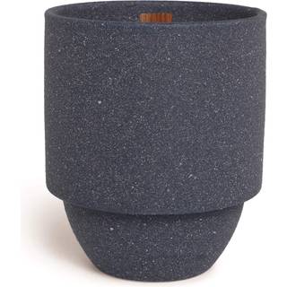 Paddywax National Parks Artisan Soy Wax Duftlys lavet i USA 11-ounce struktureret keramisk jar Acadia