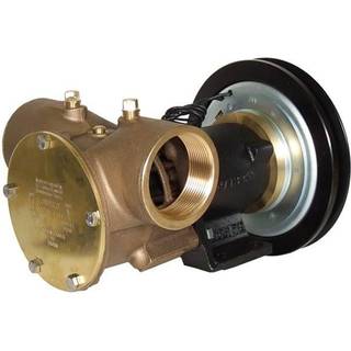 Jabsco impellerpumpe magnetkobling - 24V 270 1B 270 l/min.