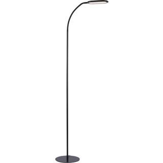 Kelly LED-gulvlampe, CCT, kan dæmpes