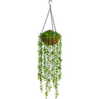 N?sten naturlig 3ft. Eucalyptus kunstig plante i h?ngende kurv