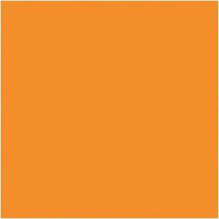 Acryl Neonfarbe 20ml - Neonorange