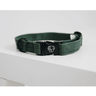 Kentucky Dog Collar Lizard - Grøn - S 28-40 cm
