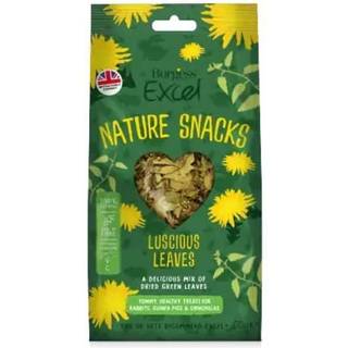 Burgess Excel Nature Snacks Lucious Leaves, 60g