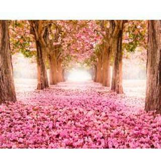 Origin Murals Mural Blossom Trees Medium MUR135M