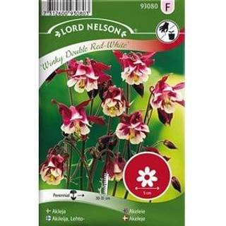 Akeleje 'Winky Double Red-White'
