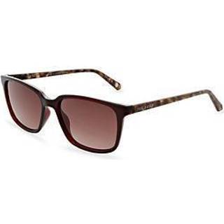 Ted Baker TB1529 249 53 Solbriller Mænd Rød - Transparent Red - 53mm
