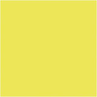 Acryl Neonfarbe 20ml - Neongelb