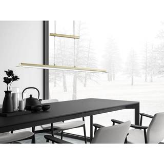 LED-pendel Tenso, messingfarvet, længde 100 cm, CCT