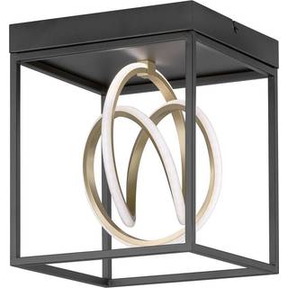 Gisi LED-loftlampe, CCT, 1 lyskilde