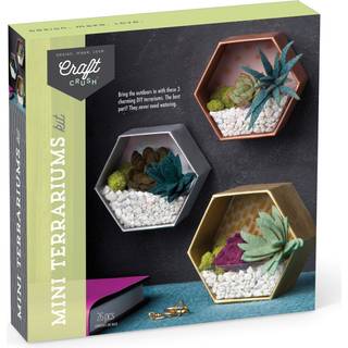 Craft Crush - Mini Plants Terrariums Easy Fun Arts and Craft Kit - Lav 3 charmerende faux terrarier! - i alderen 13 år og op