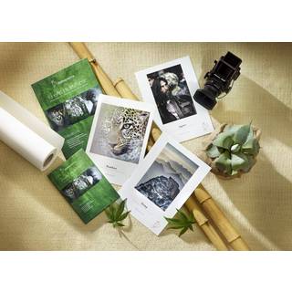 Hahnemühle, Sample Pack - Natural Line - A3+