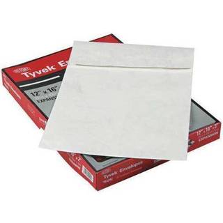 Survivor R4292 Tyvek Open-end konvolutten Plain 12-tommer x16-tommer x2-tommer 25/bx White