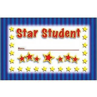 North Star Teacher Resource Student Incentive Punch Cards