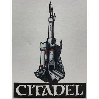 Moria™ Blackshield Warband