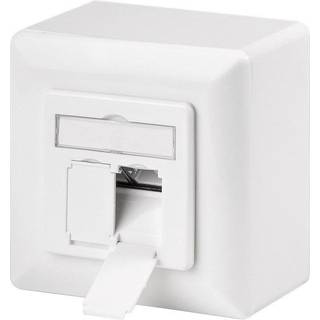 FTP Cat6a Dataudtag RJ45 2-stik - Hvid
