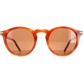 Serengeti Raffaele 8953 48 Solbriller Mænd Tortoiseshell - Shiny Caramel - 48mm