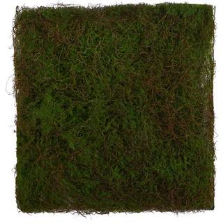 N?sten naturlig 20in. X 20in. Kunstig mosm?tte