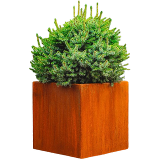 Plantekrukke CLARA - medium