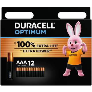 Duracell Basic LR03/AAA Alkaline-batterier - 12 stk.