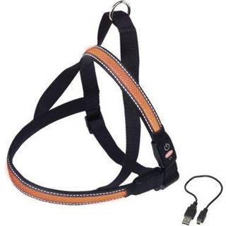 NORWEGIAN Sele FLASH MESH - M - Orange