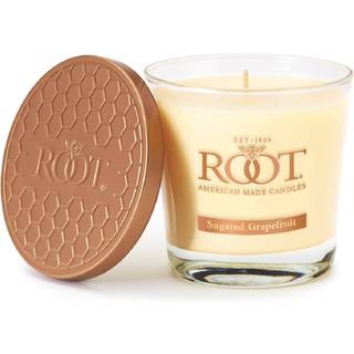 Root Candle 8873296 Honeycomb Veriglass Duftende bivoks Blend stearinlys lille sukkeret grapefrugt