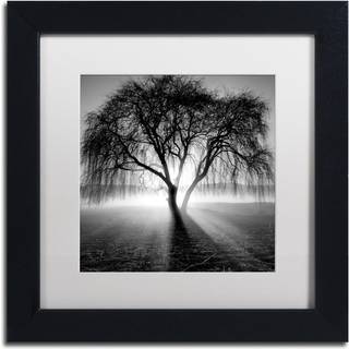 Varemærke fint kunst lynet træ I ved moises afgift i hvid mat og sort indrammet kunstværk 11 af 11 """"