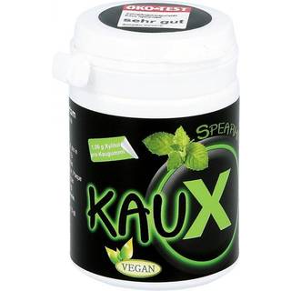 Naturlig Xylitol Tyggegummi KAUX Spearmint 40 stk. 60g