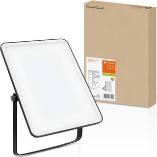 Ledvance - Floodlight Essential 50W - Facadebelysning