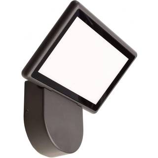 LED udendørs væglampe Alkes S, 20 cm bred