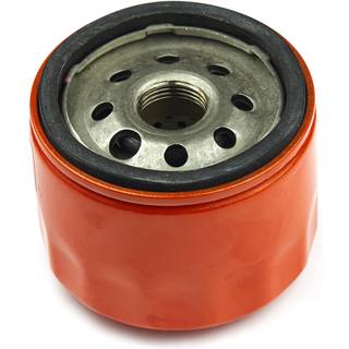 Oliefilter Briggs&Stratton 798576; 1 stk.